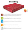 Dream Sleep Single Bed 75x36x6 Bonnell Spring Mattress (Free Pillow)