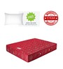 Dream Sleep Single Bed 78x36x6 Bonnell Spring Mattress (Free Pillow)