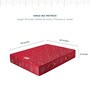 Dream Sleep Single Bed 78x36x6 Bonnell Spring Mattress (Free Pillow)