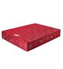 Dream Sleep Single Bed 78x36x6 Bonnell Spring Mattress (Free Pillow)