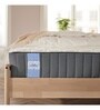 Dreamer Pocket Zero Partner Disturbance Zoned Support 12 Inch Spring Mattress In King Size
