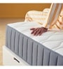 Dreamer Pocket Zero Partner Disturbance Zoned Support 12 Inch Spring Mattress In Single Size