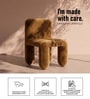Dreoven Sculpt Lounge Chair In Cocoa Brown Colour