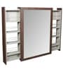 Mango Wood Rectangle Wall Mirror in Brown colour
