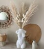 Dried White Artificial 5 Pampas and 10 Bunny Tails Bunches
