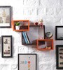 Set Of 3 Engineered Wood Intersecting Book Shelf In Orange & Brown Colour