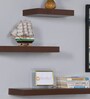 Set Of 3 Engineered Wood Floating Wall Shelf In Walnut Colour