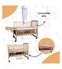 Drowsy 9 In 1 Baby Wooden Cot In Brown Colour