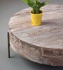 Drum Solid Wood Coffee Table in Natural Finish