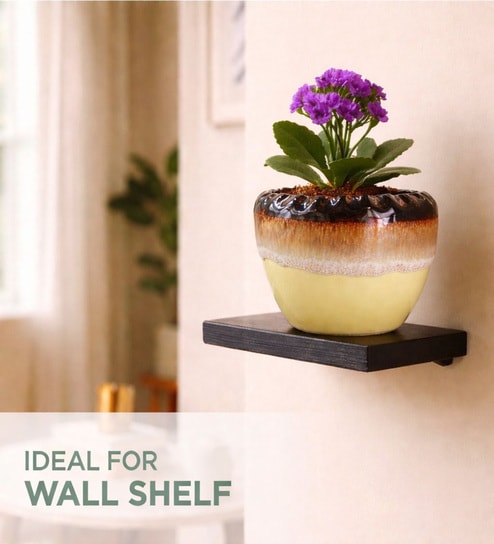 Dual Tone Glazed Ceramic Planter Pot