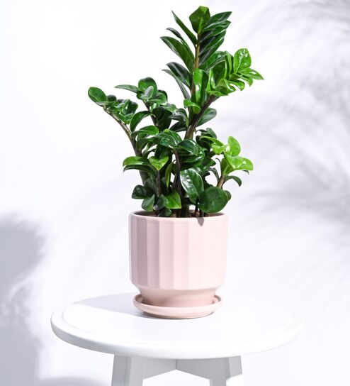 Dusty Rose Ceramic Desk Pot