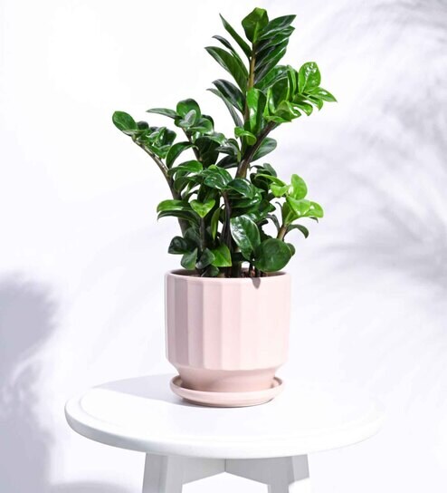 Dusty Rose Ceramic Desk Pot