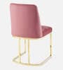 Dua Cantilever Chair In Champagne &  Gold Colour