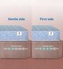 Dual 4 Inches Resitec Foam Queen Size Mattress