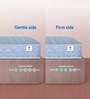 Dual 6 Inches Foam Queen Size Mattress in Blue Colour