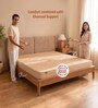 Dual 8 Inches PU Foam Single Size Mattress in Beige Colour