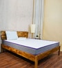 Dual Comfort 8 Inches HR Foam Mattress with Comfort Cubes and Rebotech In Queen Size