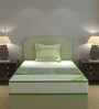 Dual Comfort Asaba Single Bed Mattress With Coir 78 X 30 X 4 Inches