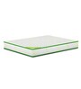 Dual Comfort Austin Single Bed Mattress With Memory Foam 75 X 30 X 4 Inches