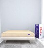 Contour Reversible 12 inch HR Foam Single Mattress