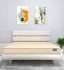 Contour Reversible 8 inch HR Foam King Size Mattress