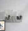 Dual Frosted Glass Wall Sconce