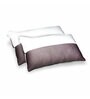 Dual Knitted Compressed Hollow Fiber Pillow 27 x 16 Inch (Set of 2) Pillows