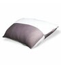 Dual Knitted Compressed Hollow Fiber Pillow 27 x 16 Inch (Set of 2) Pillows