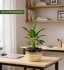 Dual Tone Glazed Ceramic Planter Pot