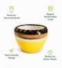 Dual Tone Glazed Ceramic Planter Pot