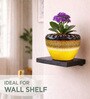 Dual Tone Glazed Ceramic Planter Pot