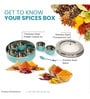 Aqua Stainless Steel  1 Pcs Spice Box
