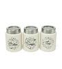 White  Stainless Steel 800Ml (Set of 3) Storage Jar & Containers