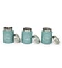Moss-Green Stainless Steel 800Ml (Set of 3) Storage Jar & Containers