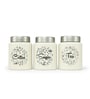 White  Stainless Steel 800Ml (Set of 3) Storage Jar & Containers
