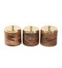 Brown & Golden Wood 800Ml (Set of 3) Storage Jar & Containers