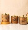 Brown & Golden Wood 800Ml (Set of 3) Storage Jar & Containers