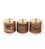 Brown & Golden Wood 800Ml (Set of 3) Storage Jar & Containers