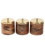 Brown & Golden Wood 800Ml (Set of 3) Storage Jar & Containers