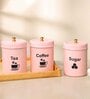 Light Pink Stainless Steel 800Ml (Set of 3) Storage Jar & Containers With Lid