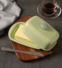 Pista Green Stainless Steel 500Ml 1 Pcs Serving Dishes