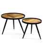Dune End Table Set of 2 In Gold & Black Finish