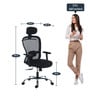 Dune High Back Ergonomic Chair in Black Colour