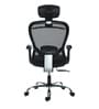 Dune High Back Ergonomic Chair in Black Colour