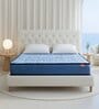 Duo Rest Essential Dual Comfort Ortho3D Support Technology Foam 5 Inches Single Size Mattress
