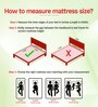 Duo Rest Essential Dual Comfort Ortho3D Support Technology Foam 5 Inches Single Size Mattress