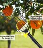 Black Durable Easy-Reach Fruit Picker with Secure