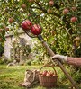 Black Durable Easy-Reach Fruit Picker with Secure
