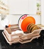 Multicolour Plastic Dish Drainers