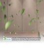 Durafirm Classic 5 Inches Rebonded Foam Queen Size Mattress